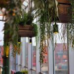 475835966-122209772906203478-4164446534386566503-n